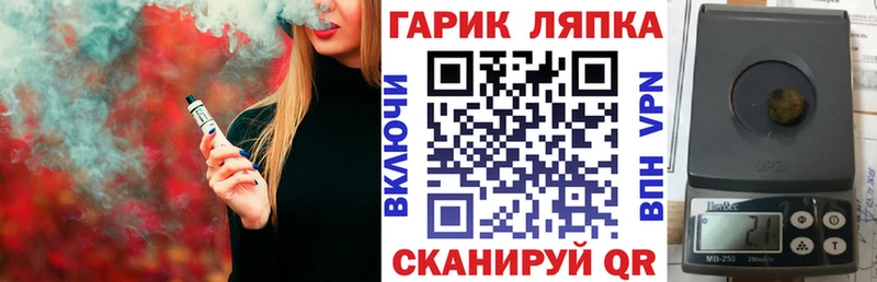 ГАШ Premium  Купить где  Балтийск 
