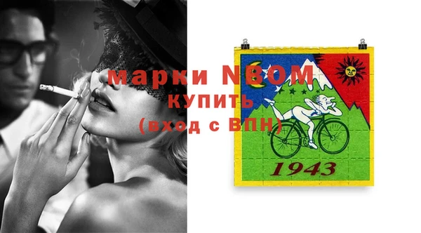 индика Коряжма
