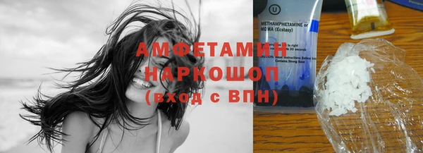 шишки Корсаков