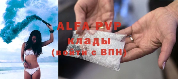 шишки Корсаков