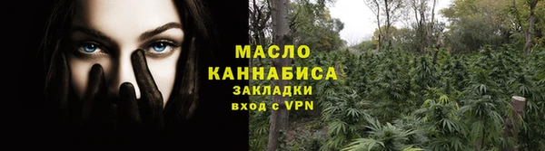 индика Коряжма