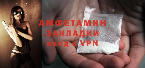 шишки Корсаков