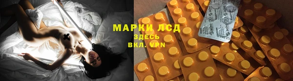 индика Коряжма
