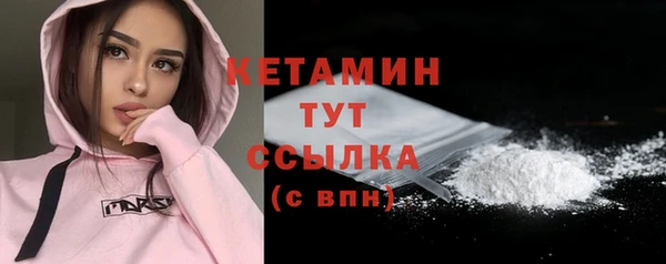 шишки Корсаков