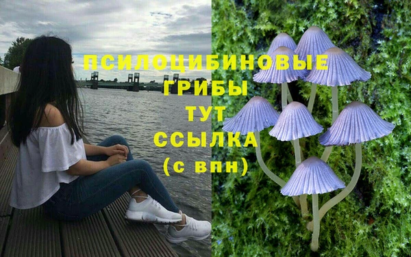 амф Костерёво