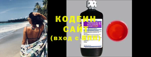 индика Коряжма