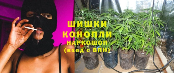 индика Коряжма