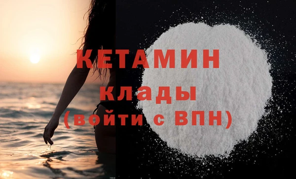 шишки Корсаков