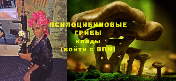 шишки Корсаков