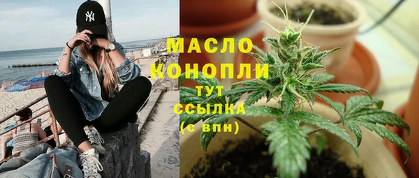 шишки Корсаков