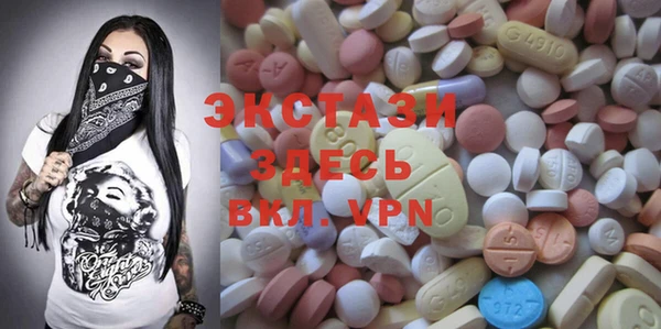 индика Коряжма