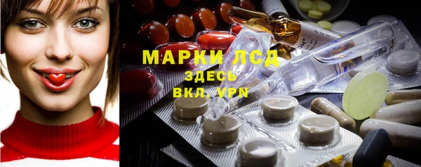 шишки Корсаков