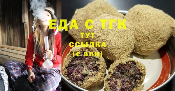 индика Коряжма