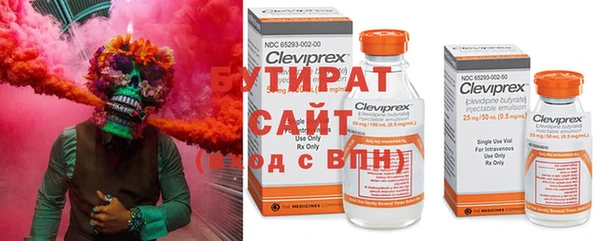 шишки Корсаков