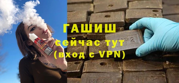 индика Коряжма